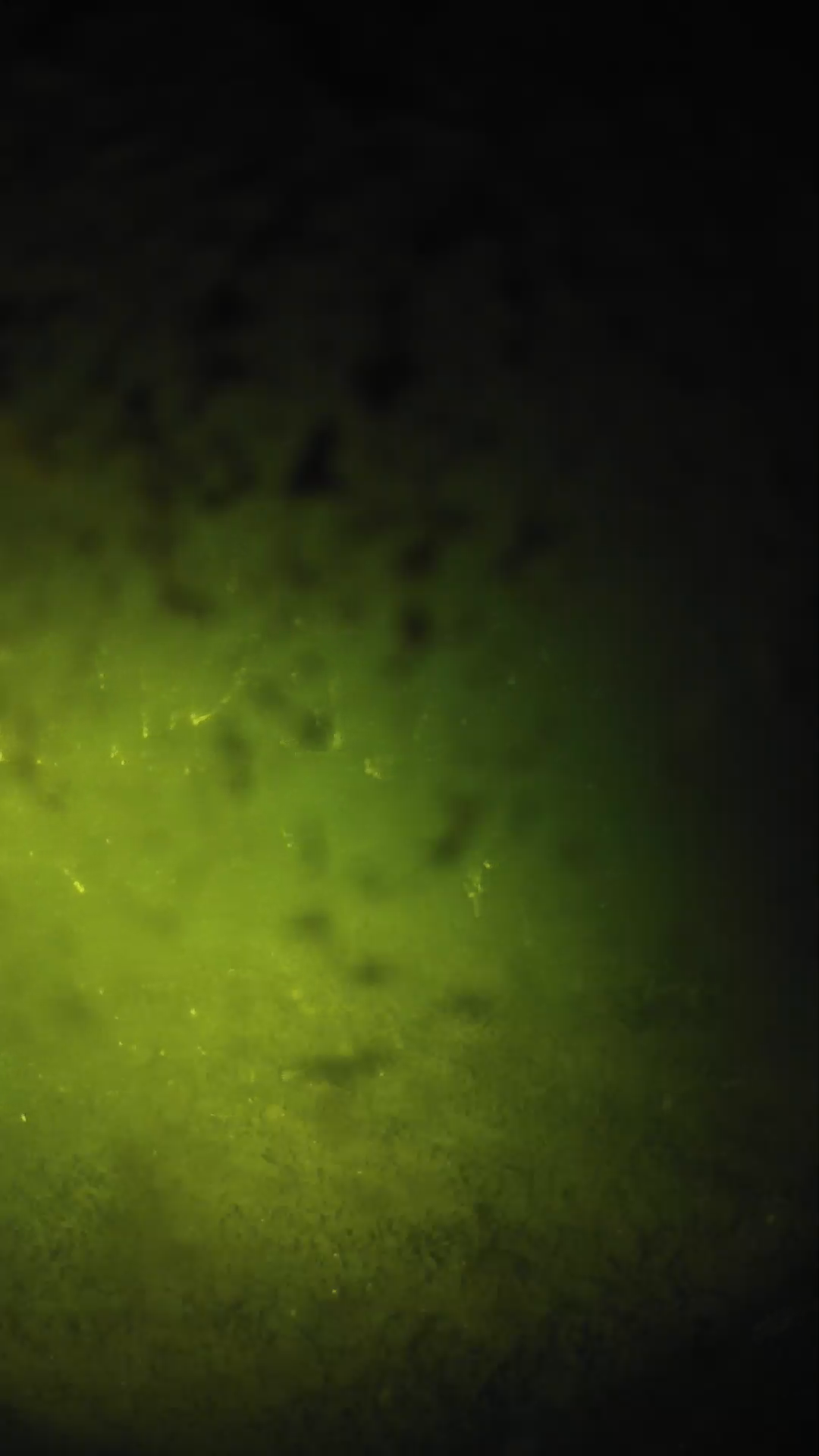 lander_ipcam_20240701030548.png