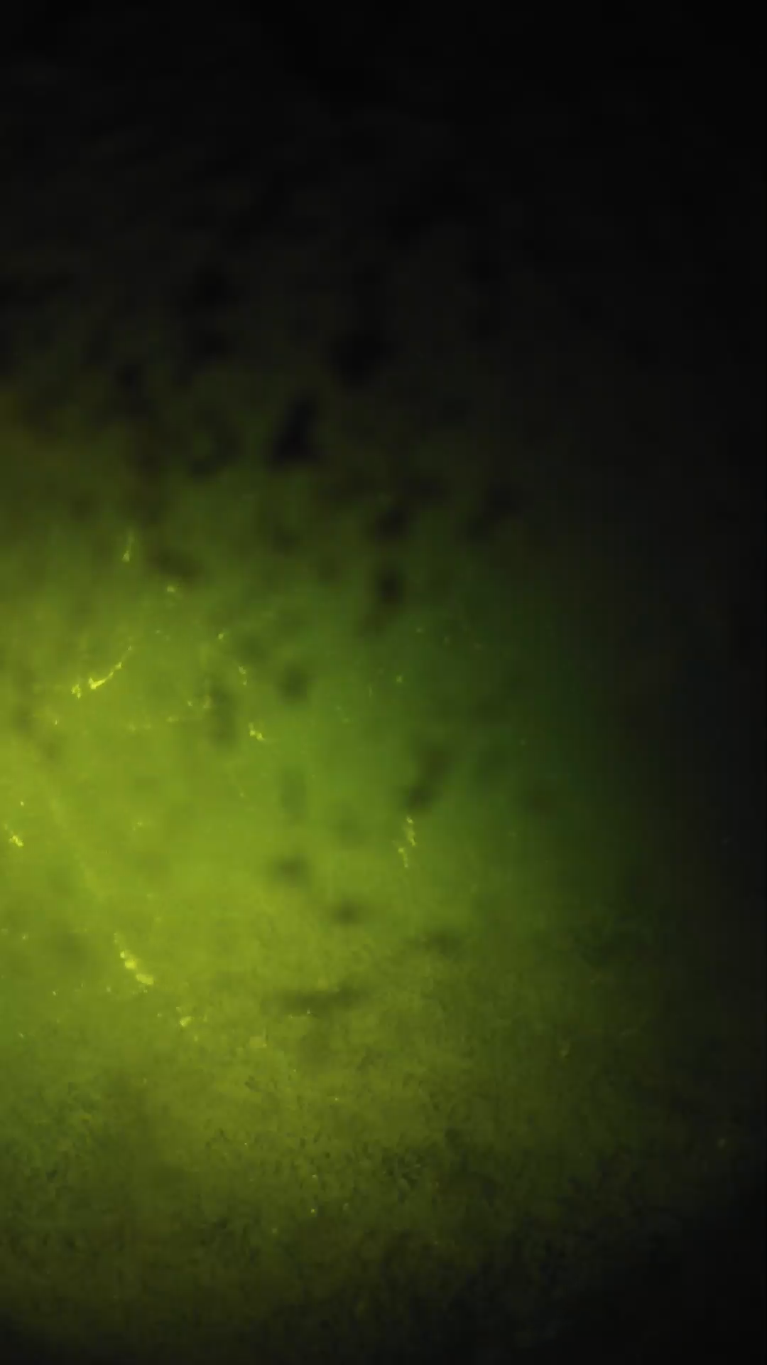lander_ipcam_20240701030551.png