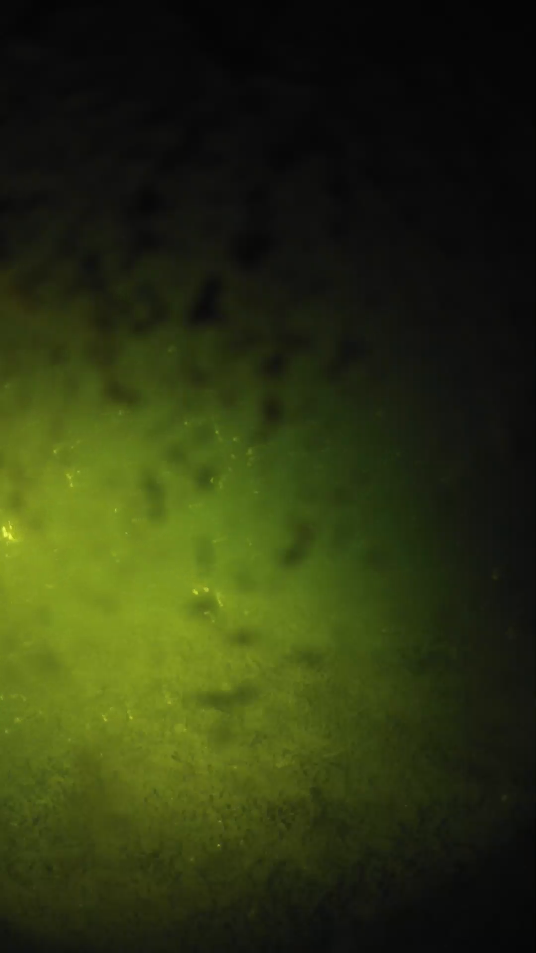 lander_ipcam_20240701030557.png