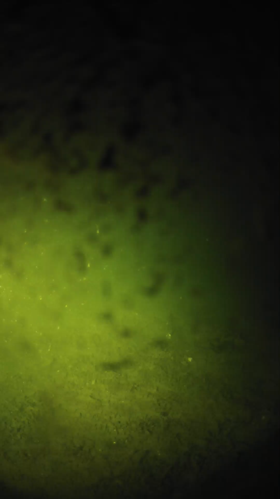 lander_ipcam_20240701040545.png