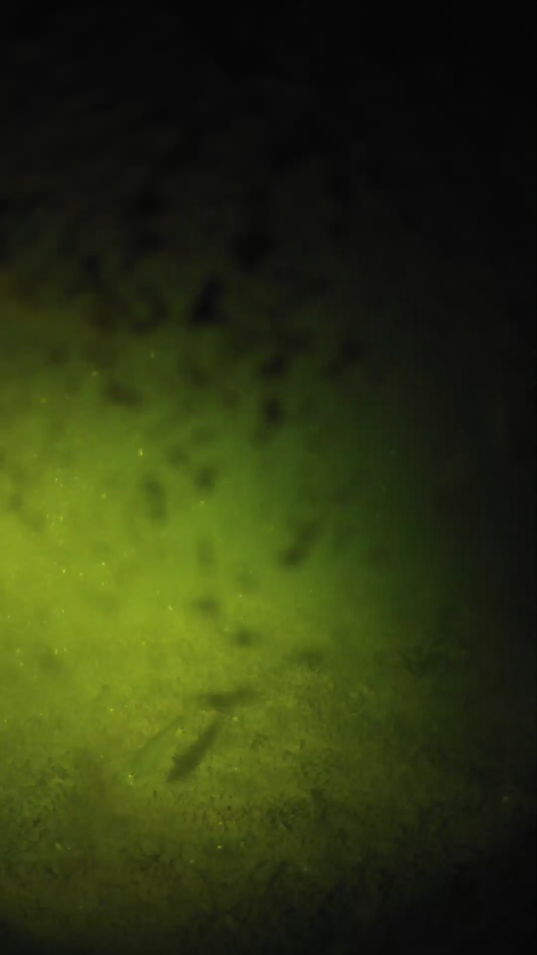 lander_ipcam_20240701040551.png