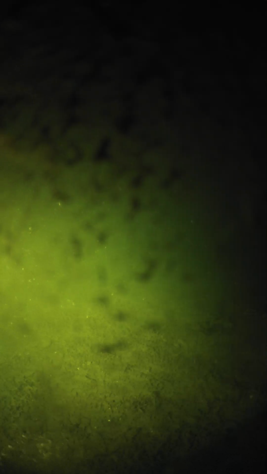 lander_ipcam_20240701040554.png