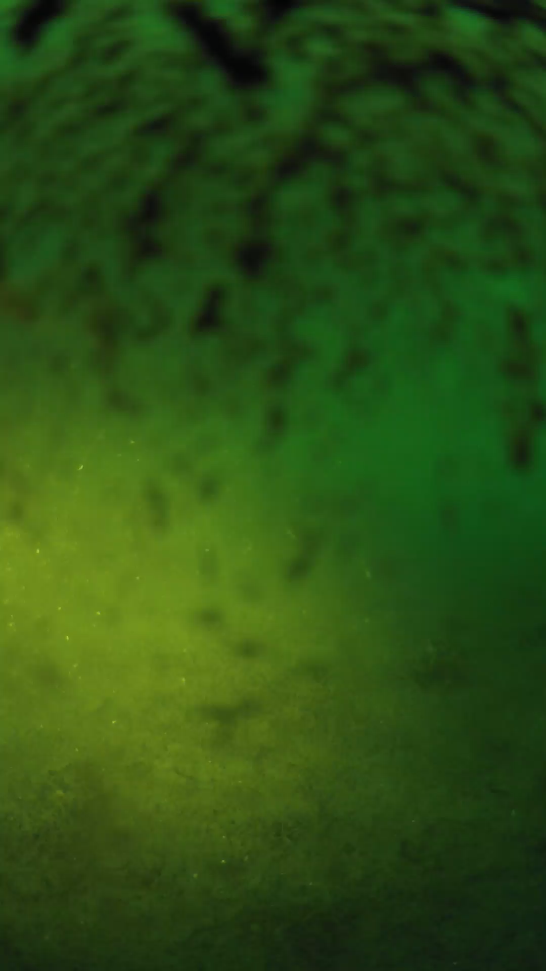 lander_ipcam_20240701050538.png