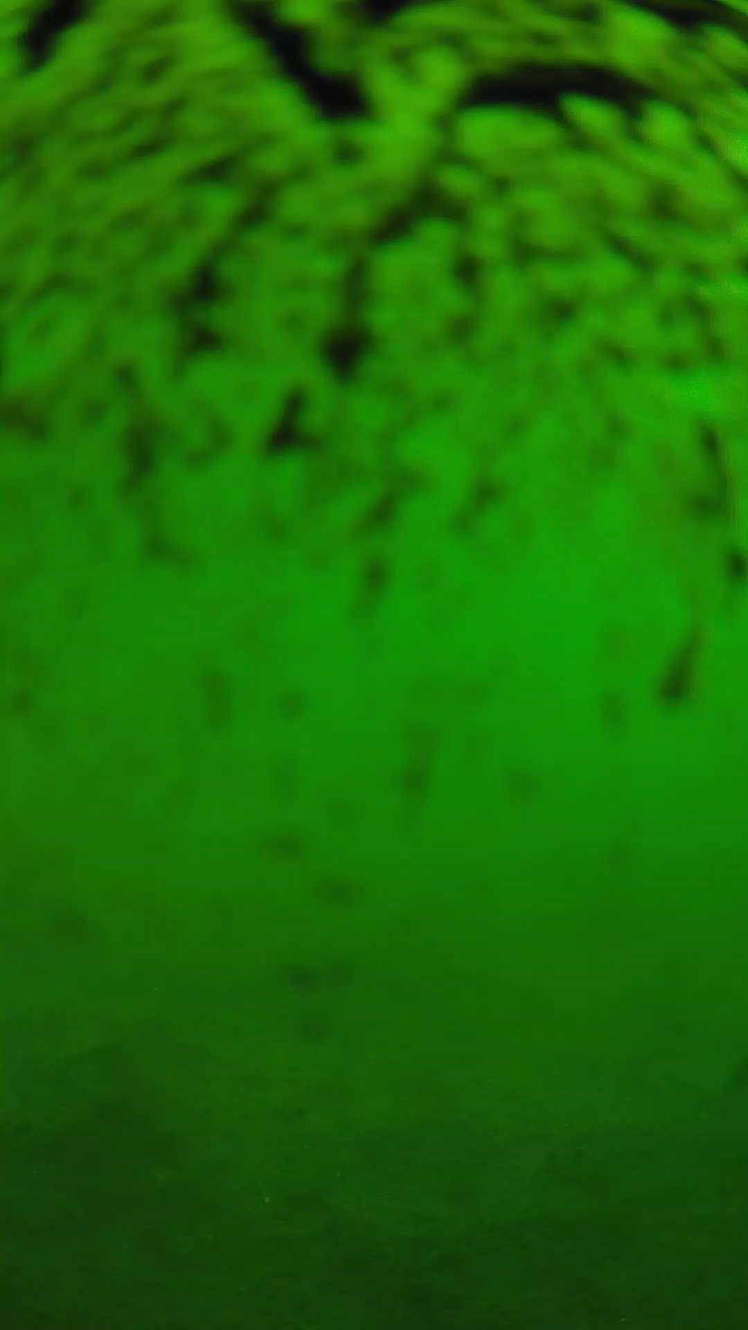 lander_ipcam_20240701100542.png