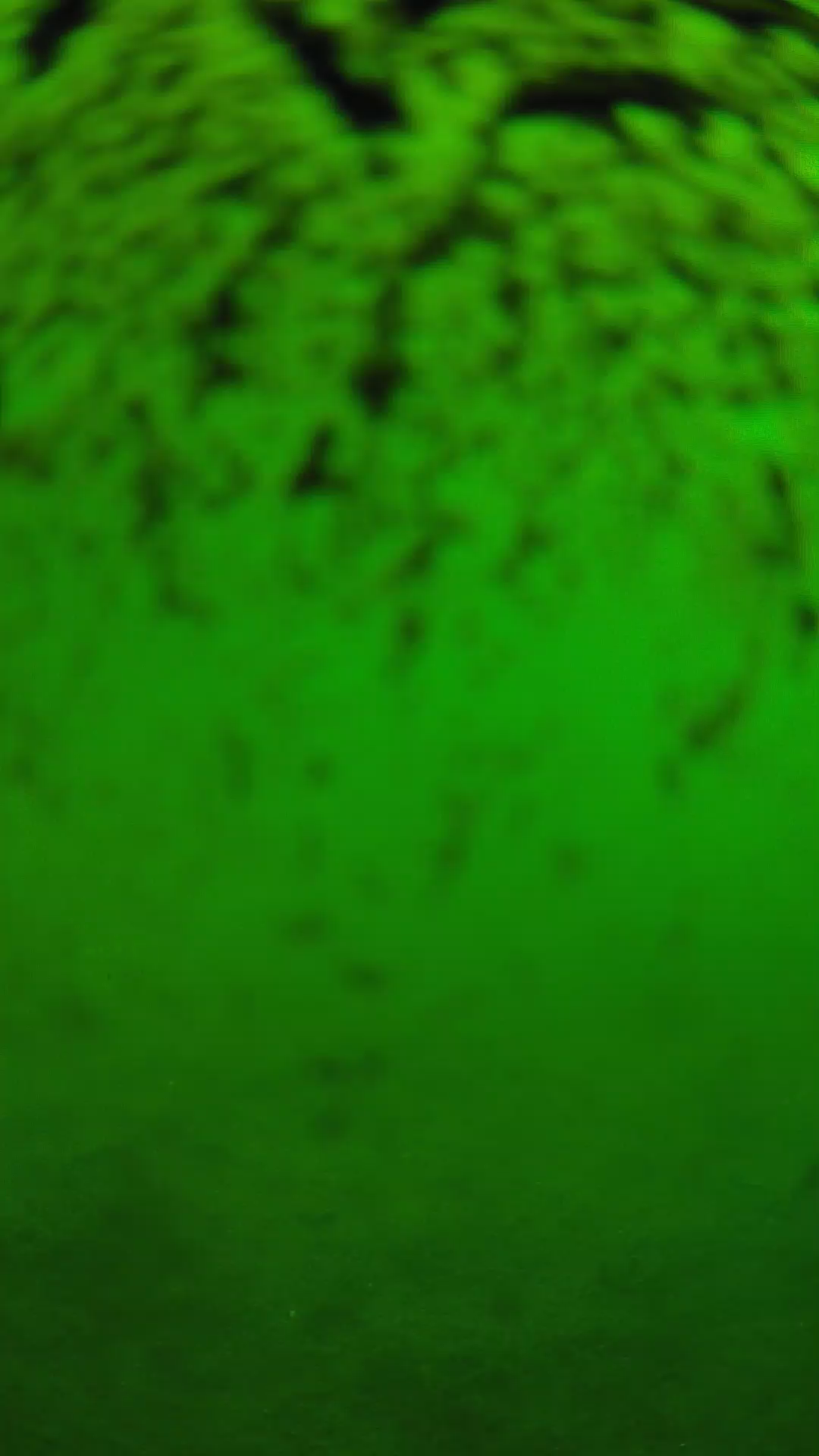 lander_ipcam_20240701100553.png