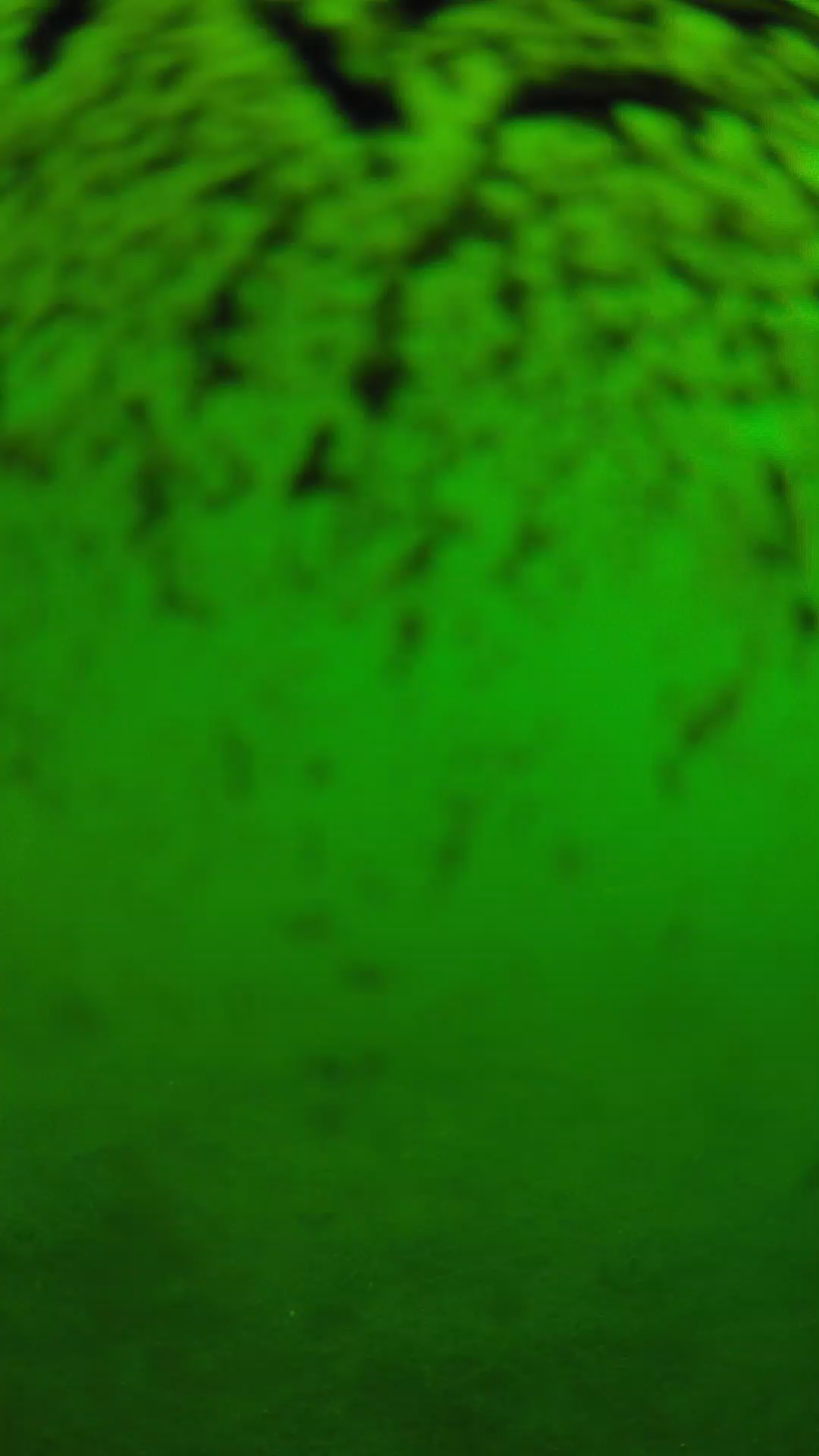 lander_ipcam_20240701100602.png