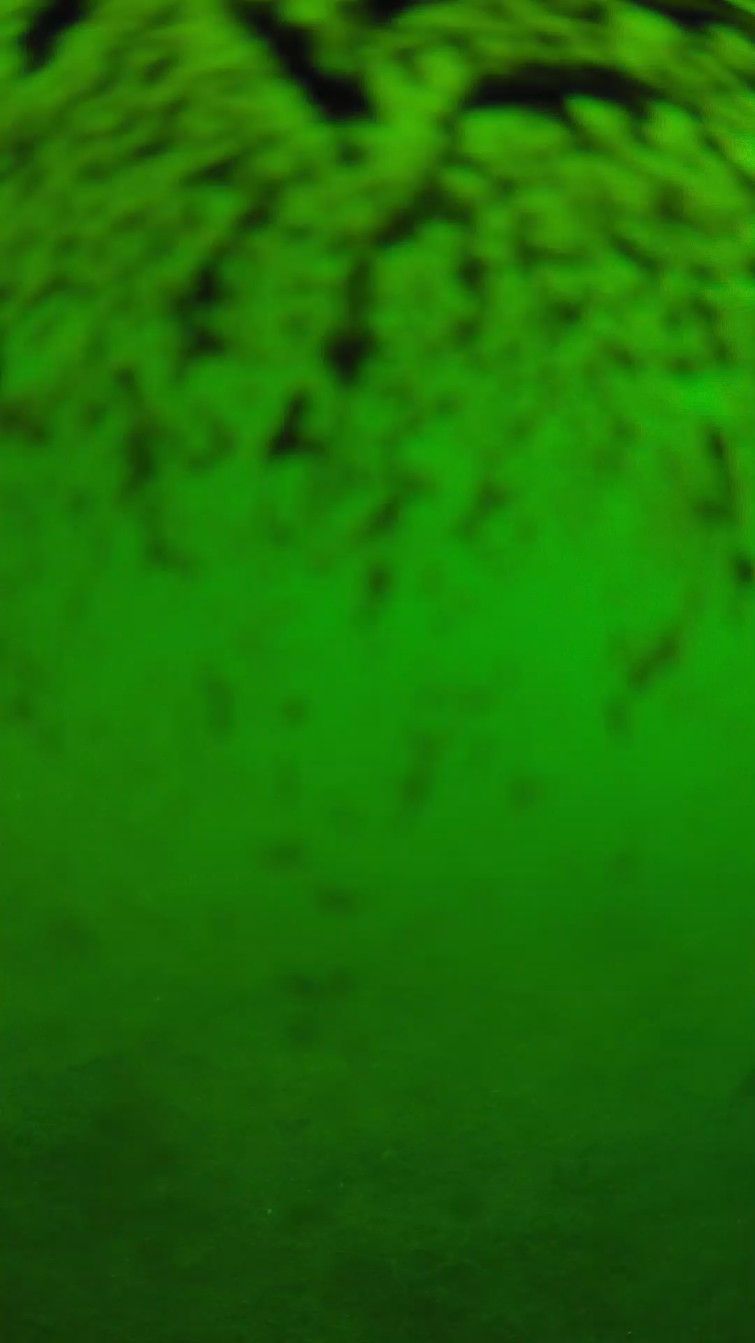 lander_ipcam_20240701100606.png