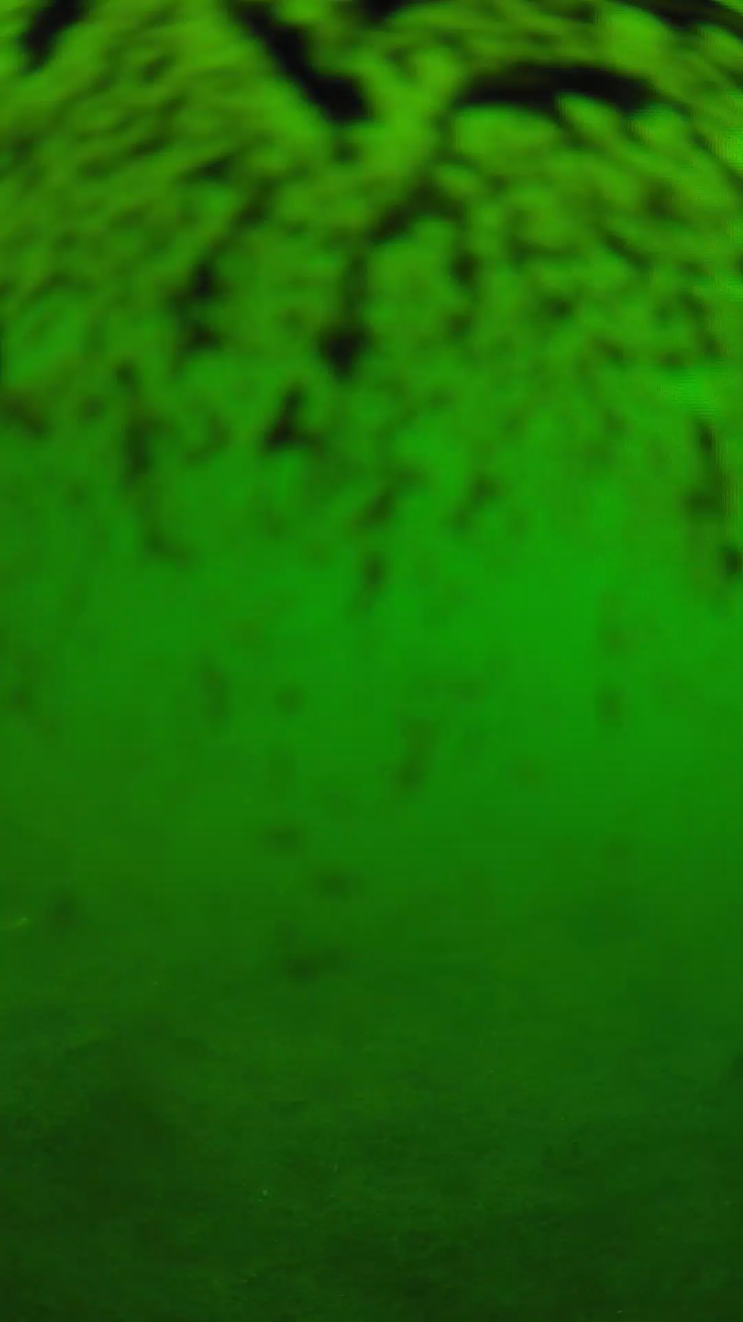 lander_ipcam_20240701113546.png