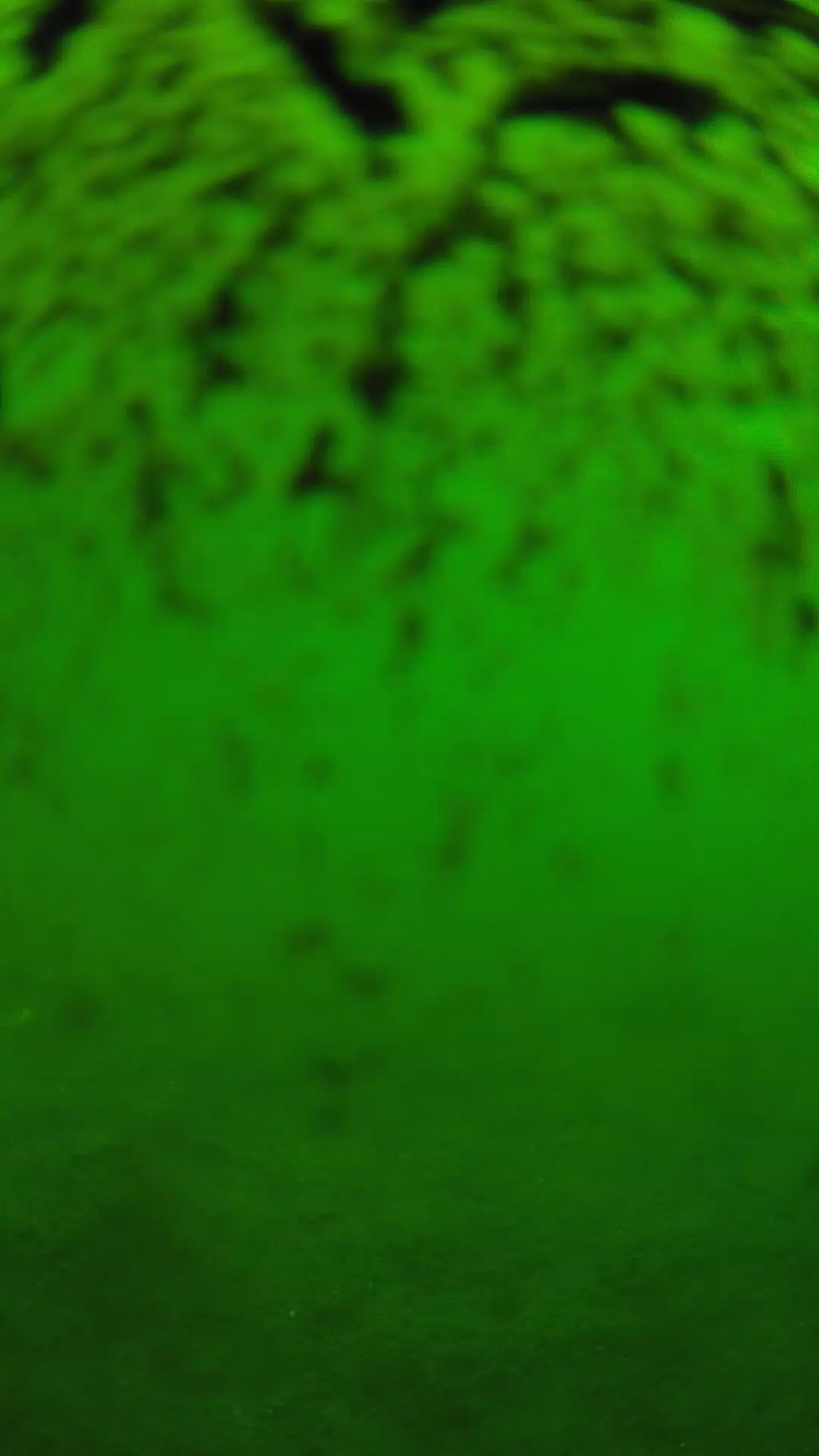 lander_ipcam_20240701113549.png