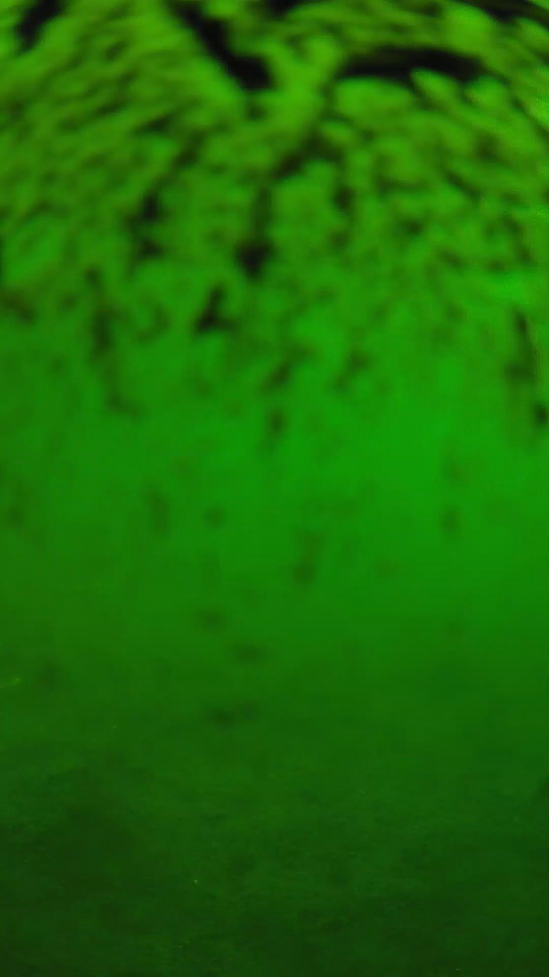 lander_ipcam_20240701113604.png