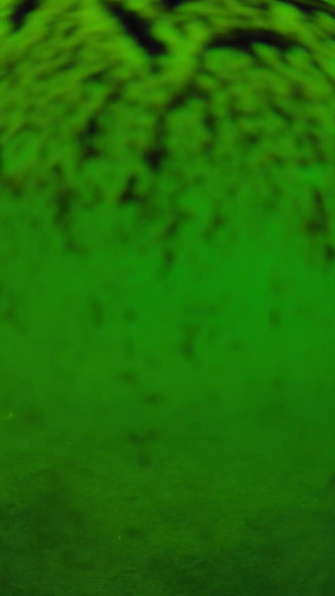 lander_ipcam_20240701120544.png