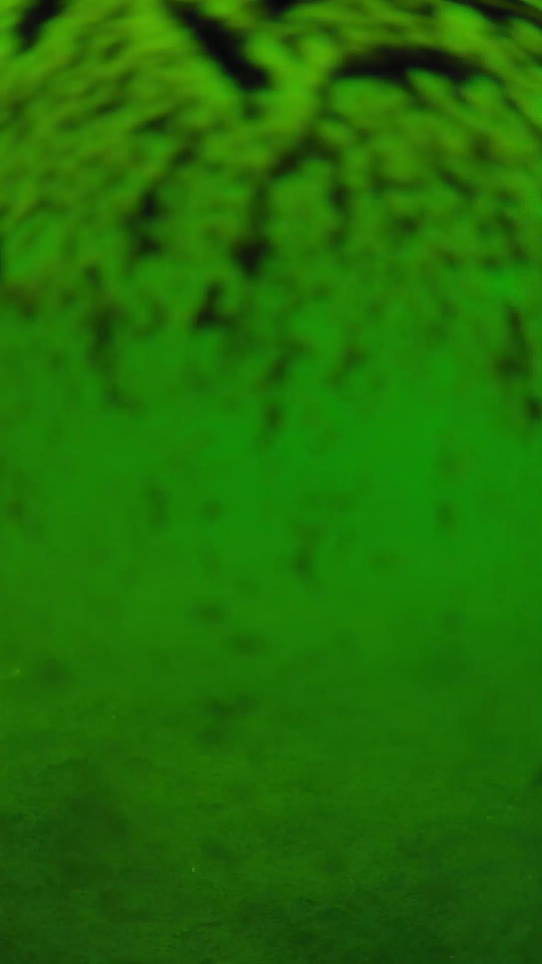 lander_ipcam_20240701120546.png