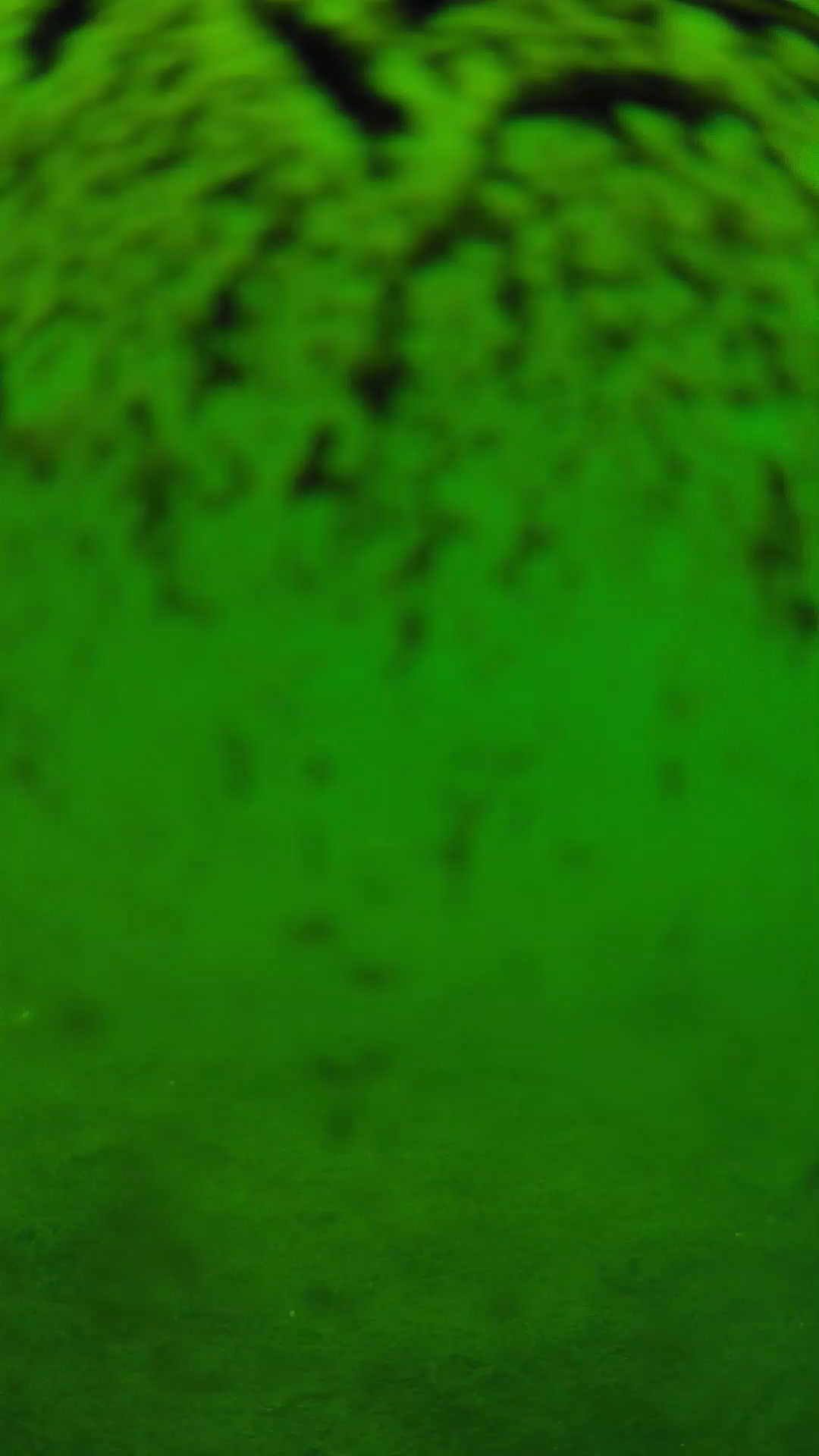 lander_ipcam_20240701120555.png