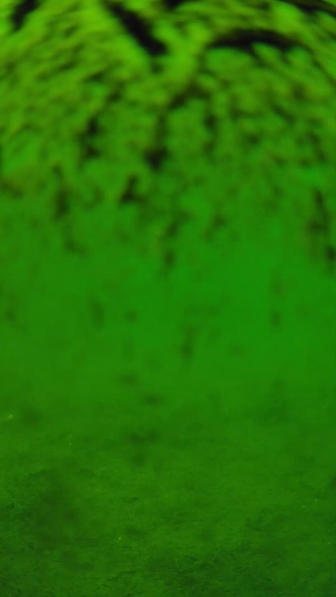 lander_ipcam_20240701123538.png