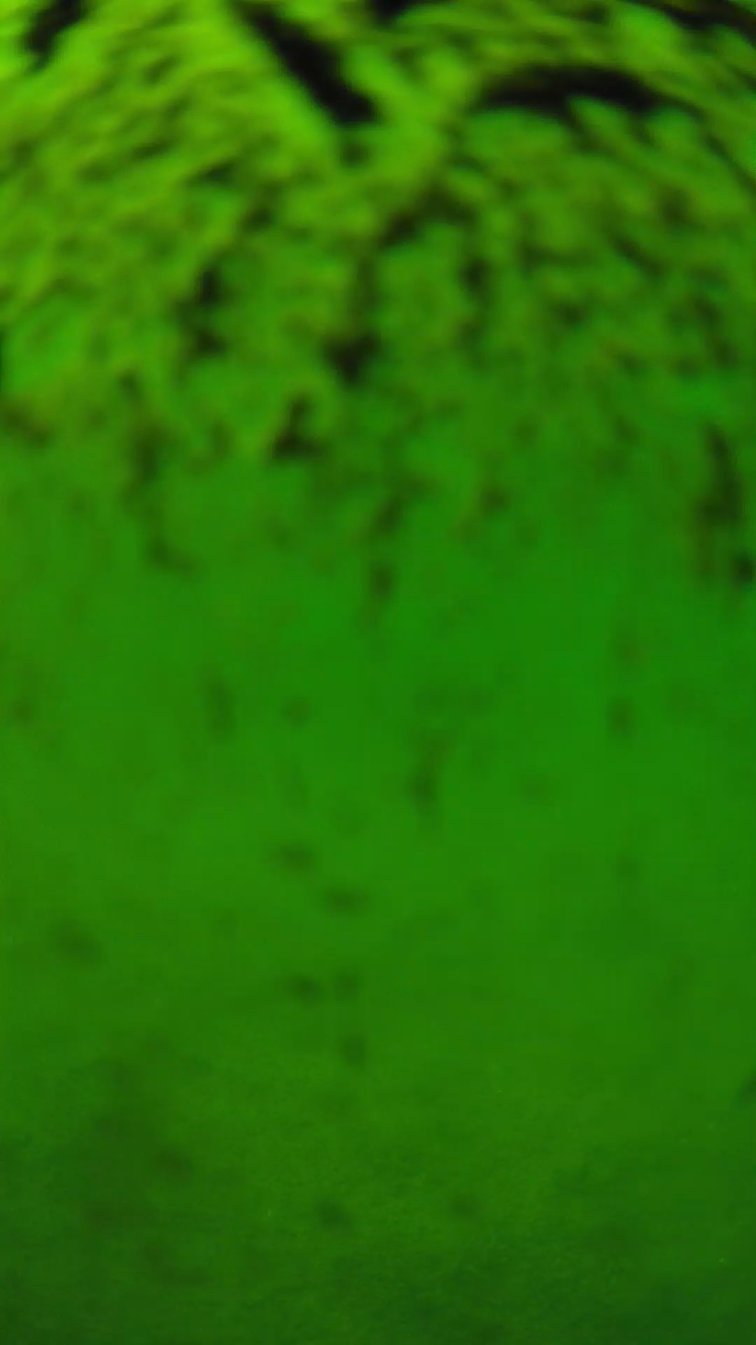 lander_ipcam_20240701133546.png