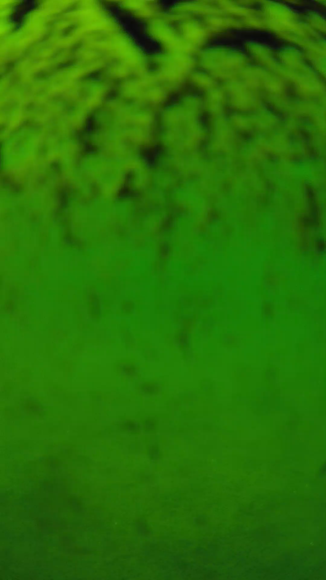 lander_ipcam_20240701133555.png