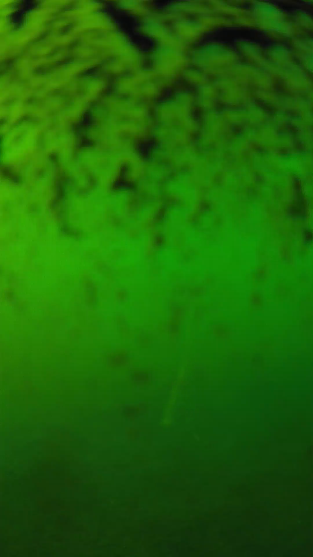 lander_ipcam_20240701170538.png
