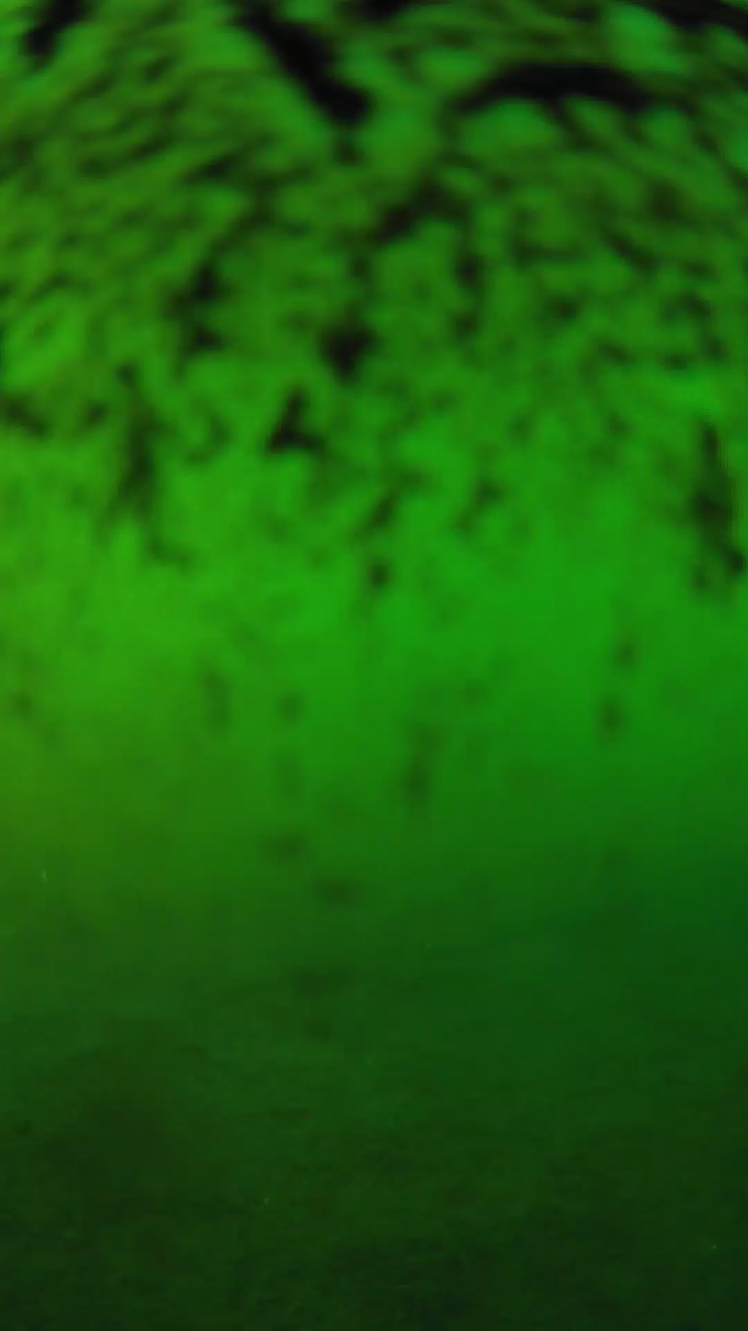 lander_ipcam_20240701180555.png
