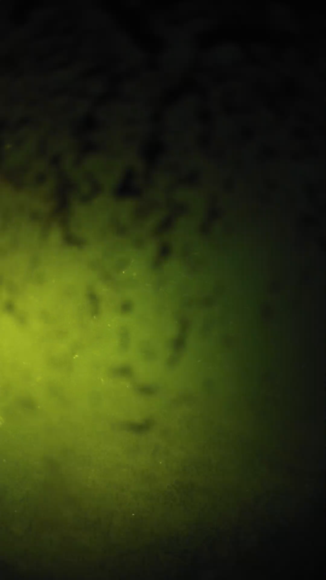 lander_ipcam_20240701203541.png