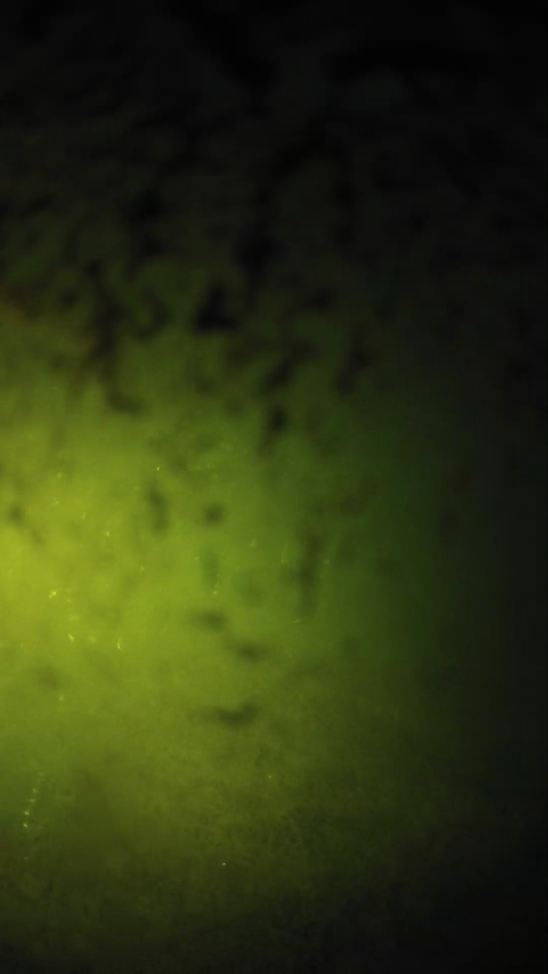 lander_ipcam_20240701203543.png