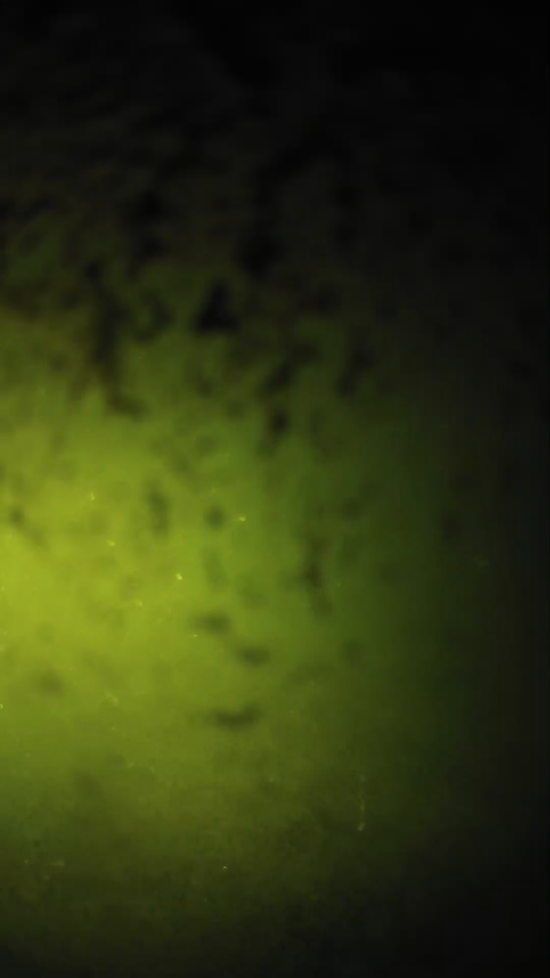 lander_ipcam_20240701210541.png