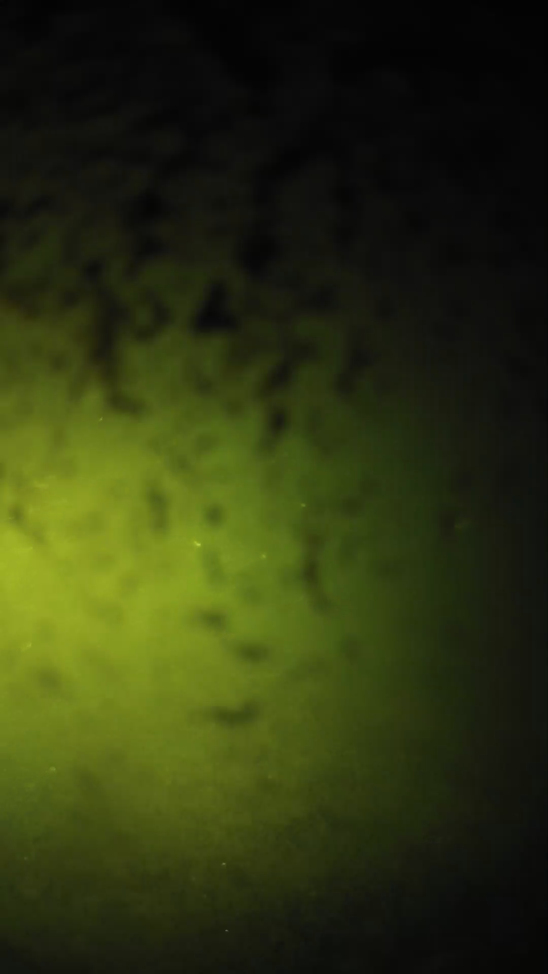 lander_ipcam_20240701210543.png