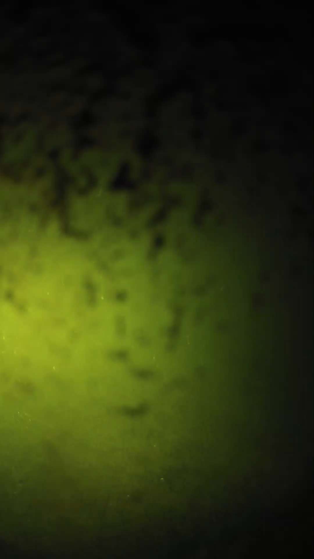 lander_ipcam_20240701213547.png
