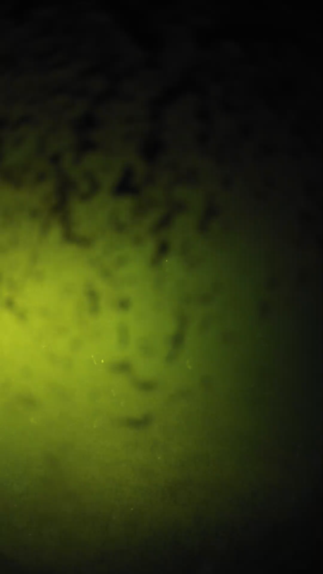 lander_ipcam_20240701213559.png