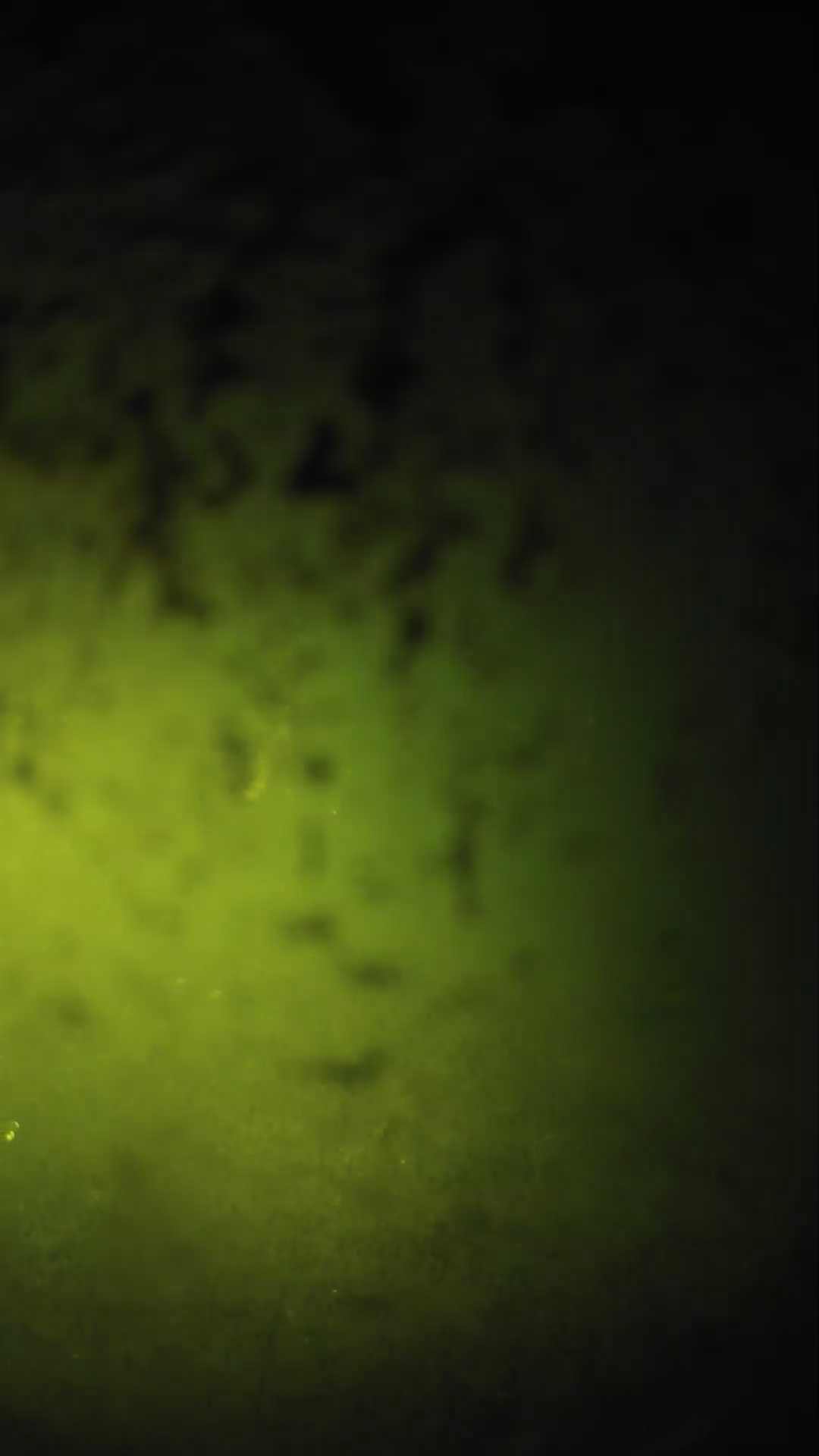 lander_ipcam_20240701220541.png