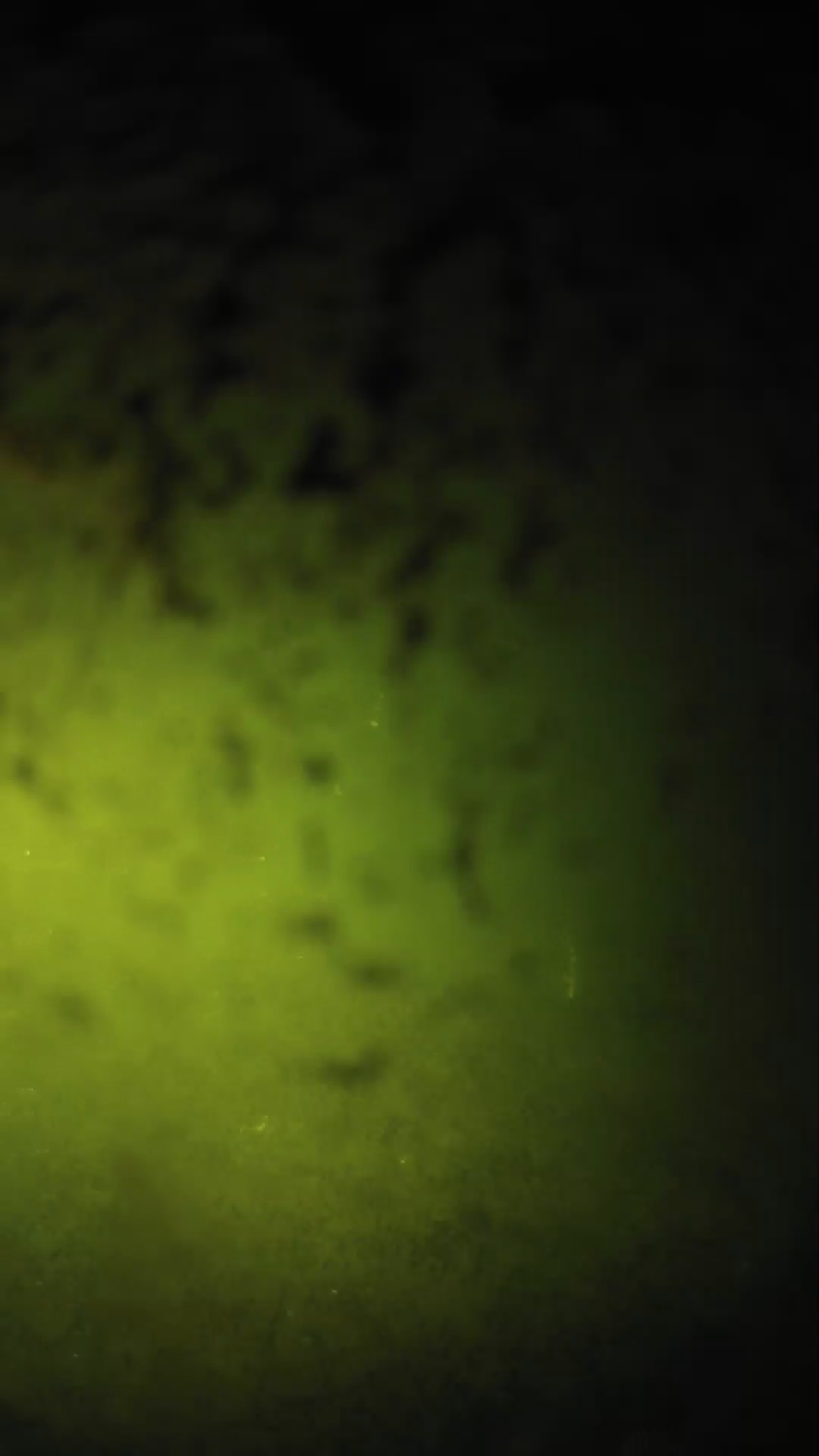 lander_ipcam_20240701220552.png