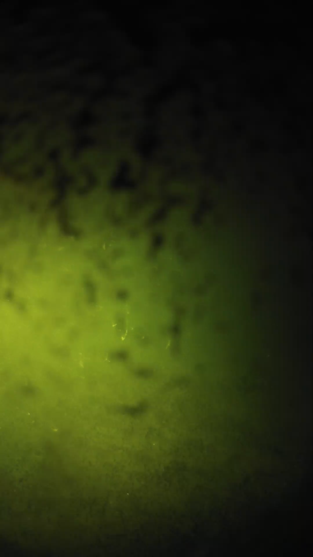 lander_ipcam_20240701230553.png