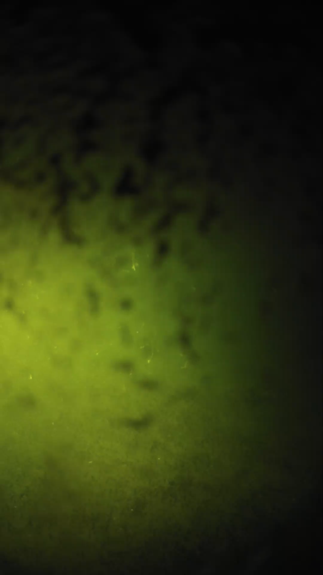 lander_ipcam_20240701230600.png