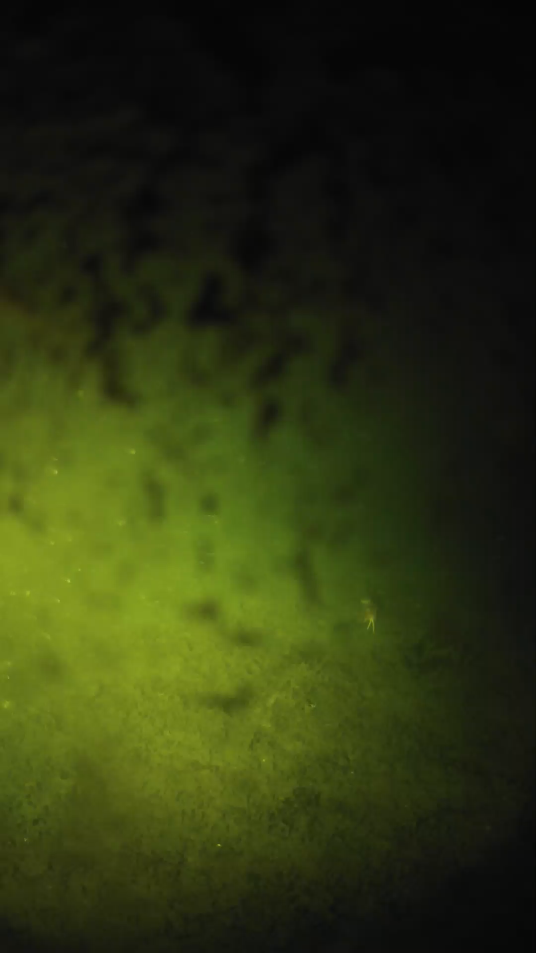 lander_ipcam_20240702000541.png