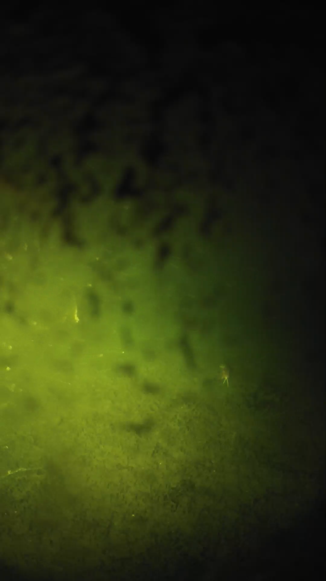 lander_ipcam_20240702000544.png