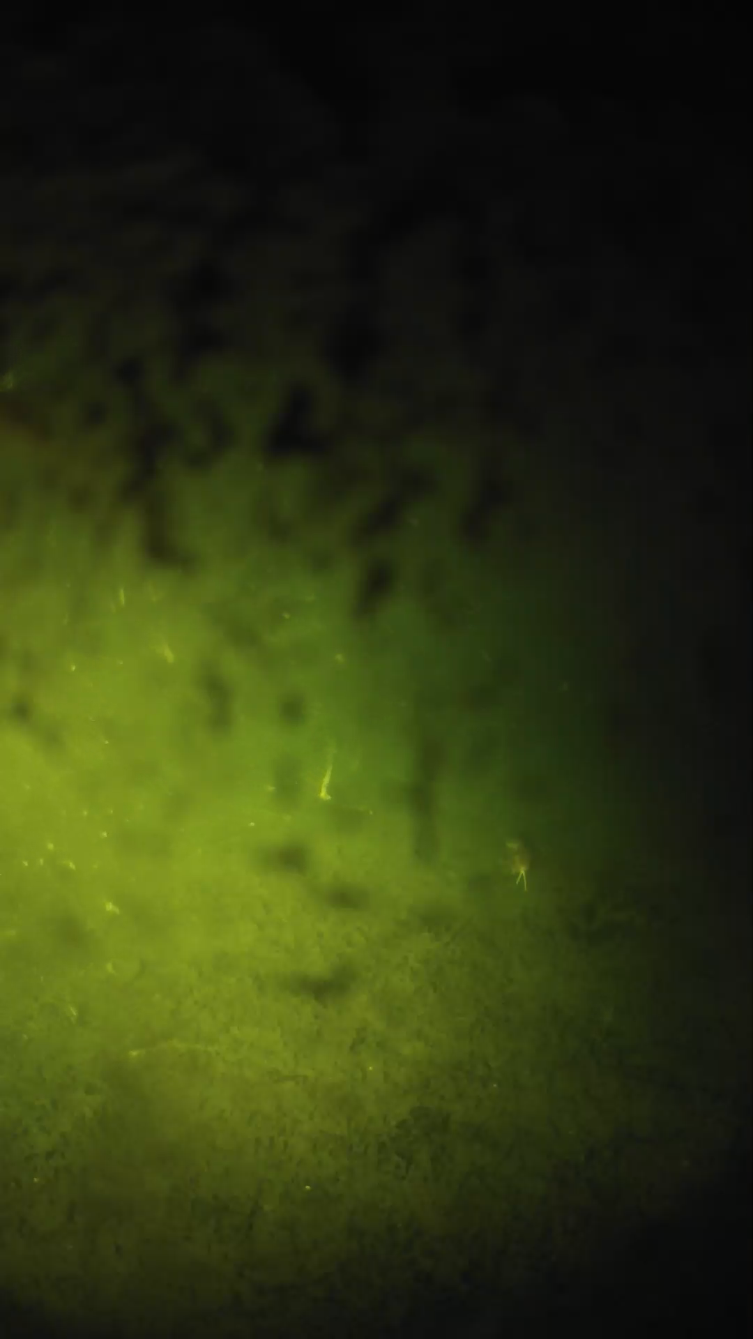 lander_ipcam_20240702000546.png