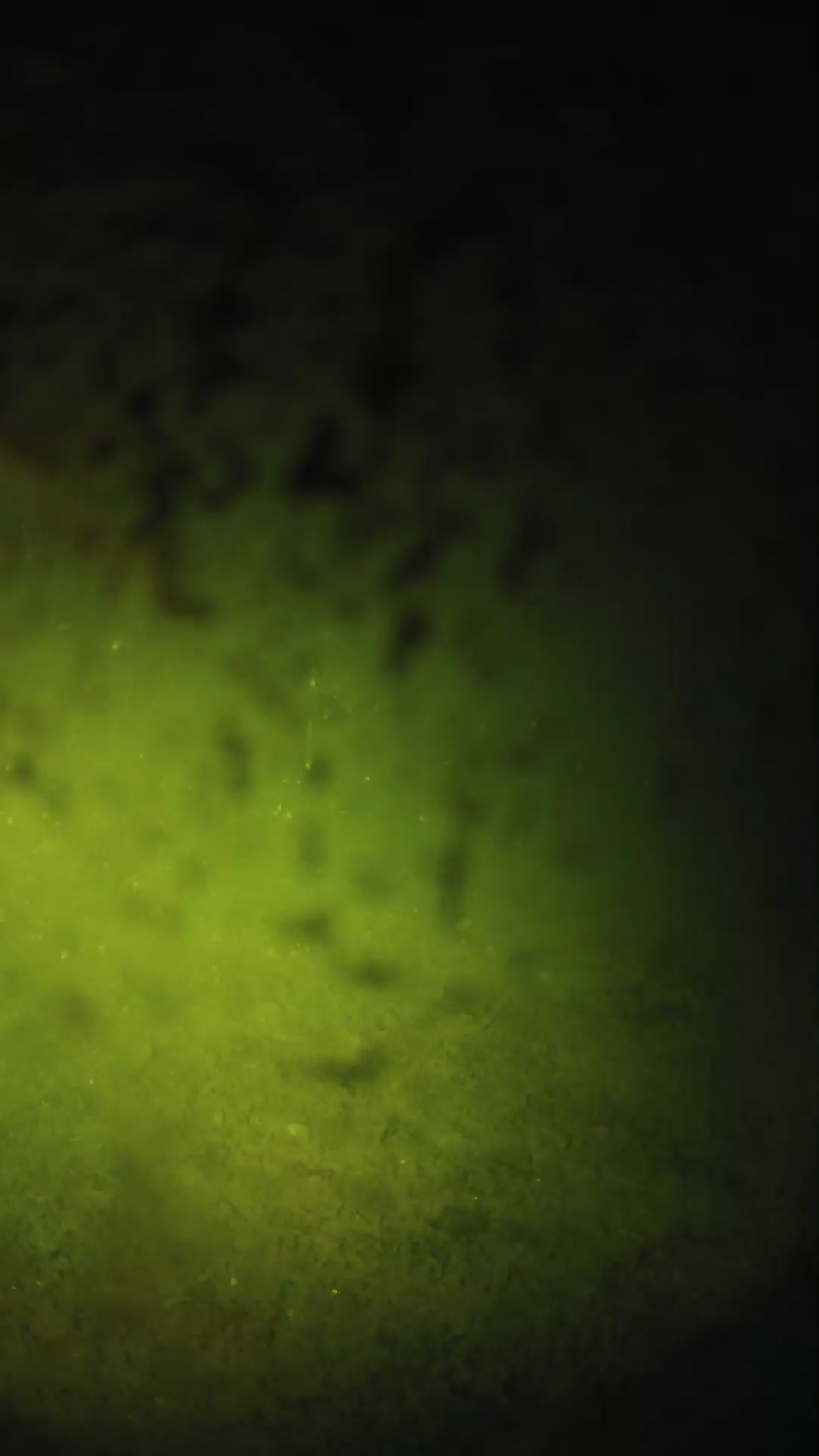 lander_ipcam_20240702003545.png