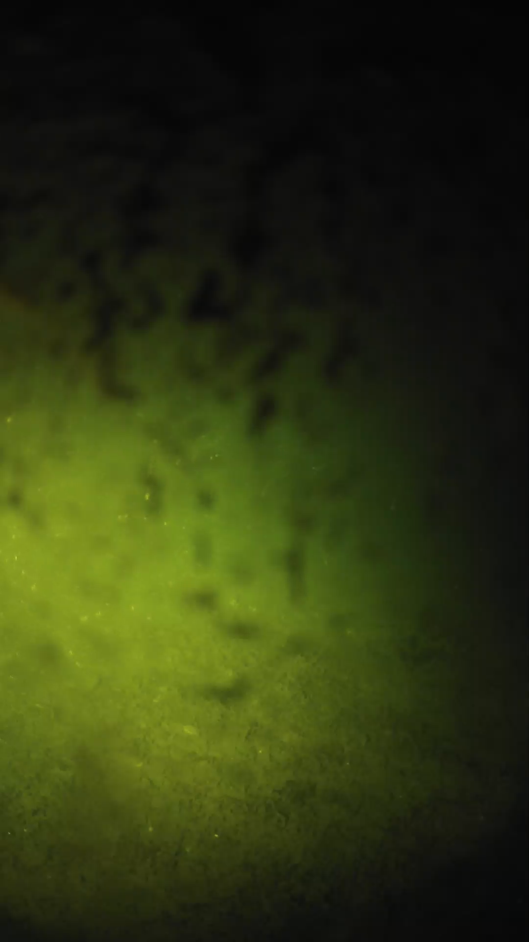 lander_ipcam_20240702003550.png