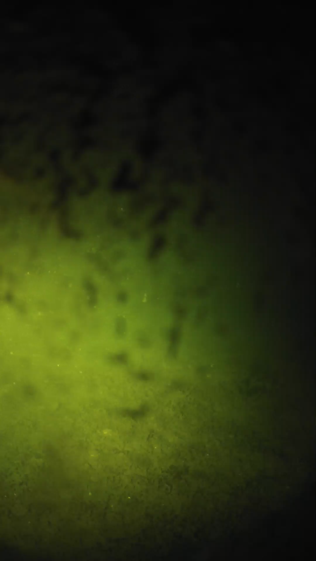 lander_ipcam_20240702003606.png