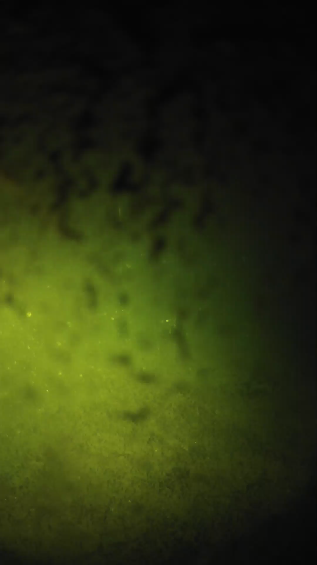 lander_ipcam_20240702010539.png