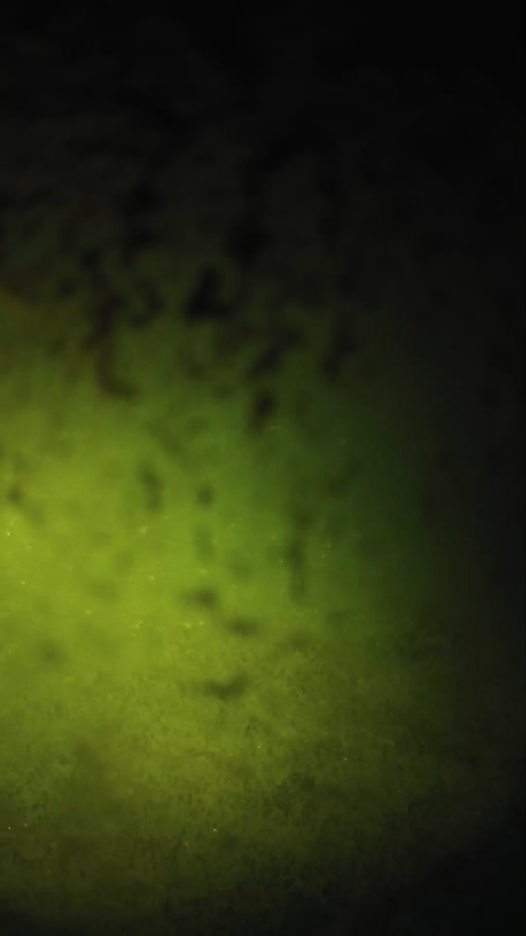 lander_ipcam_20240702010541.png