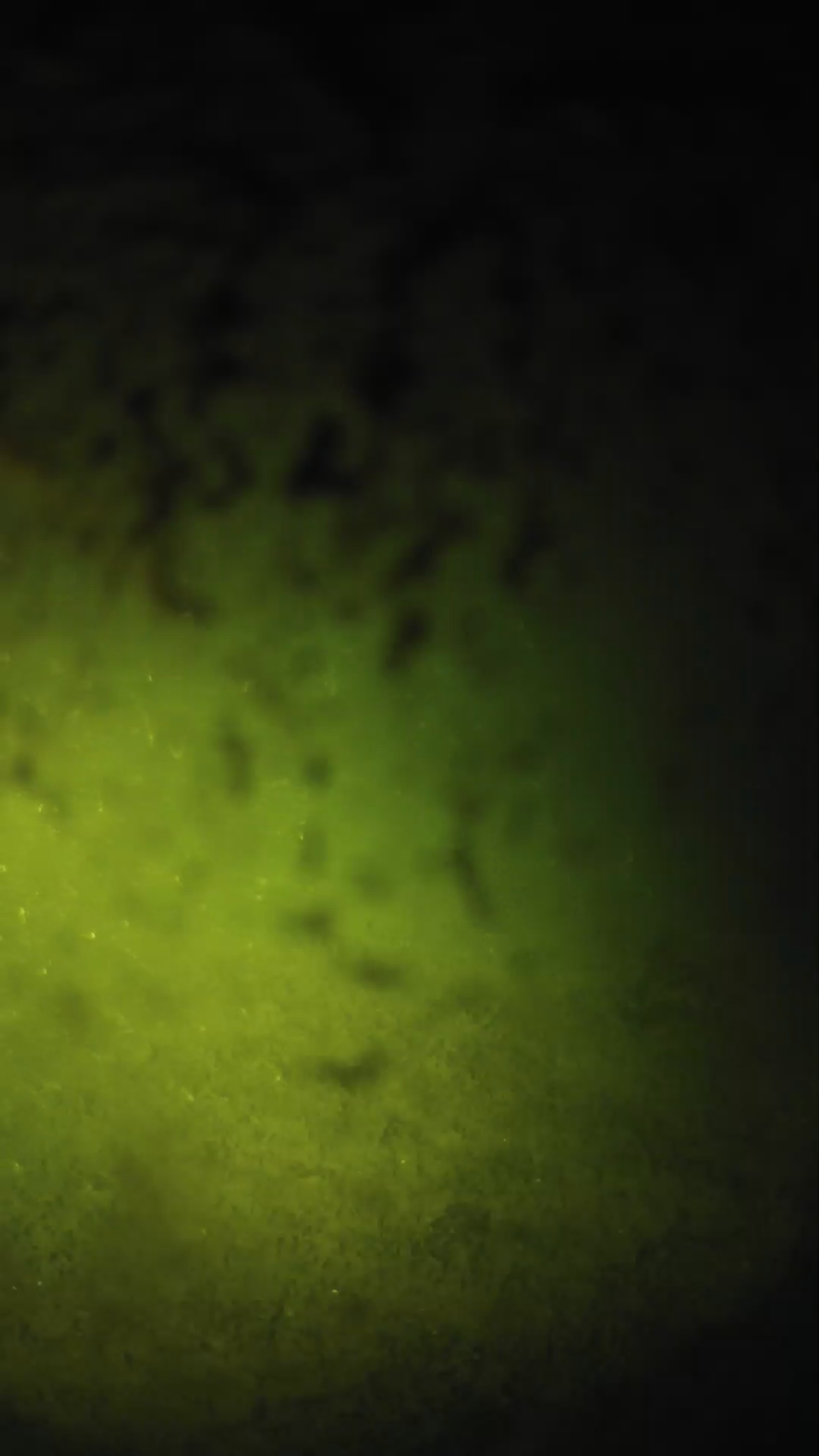 lander_ipcam_20240702010550.png