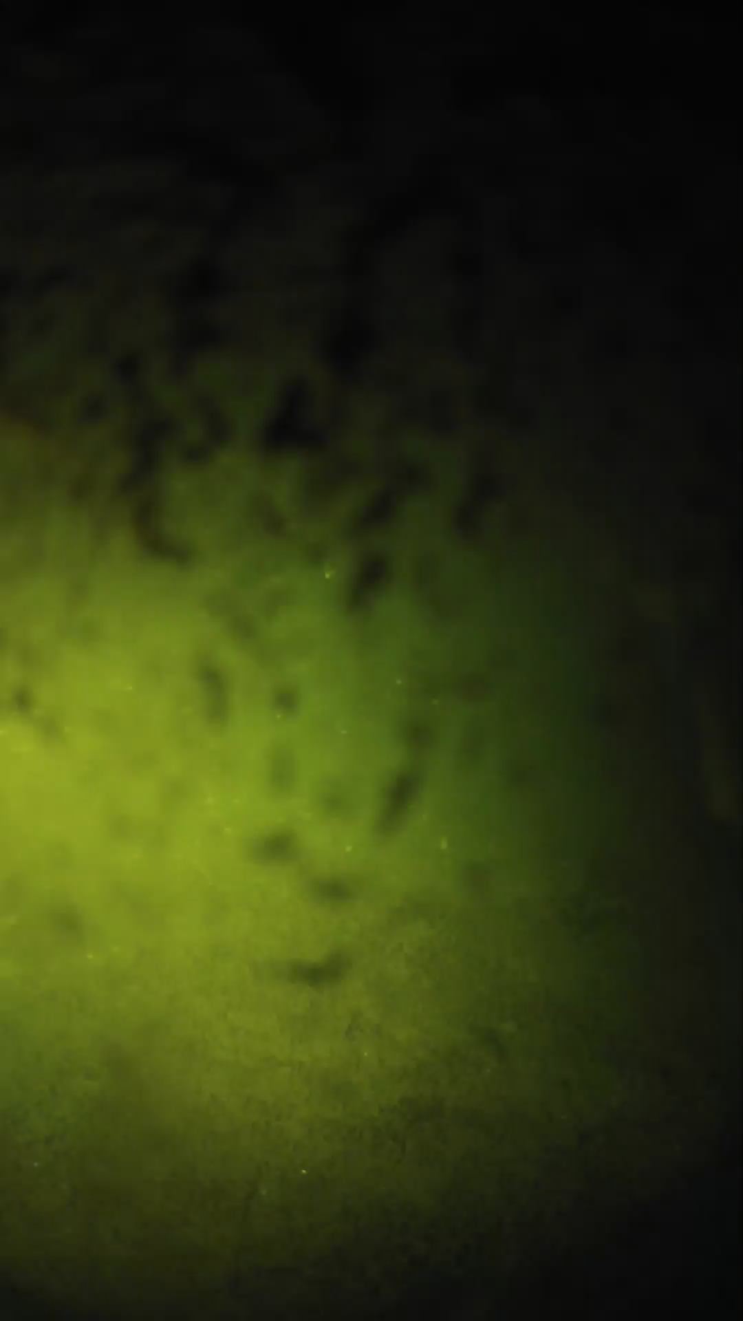 lander_ipcam_20240702013541.png