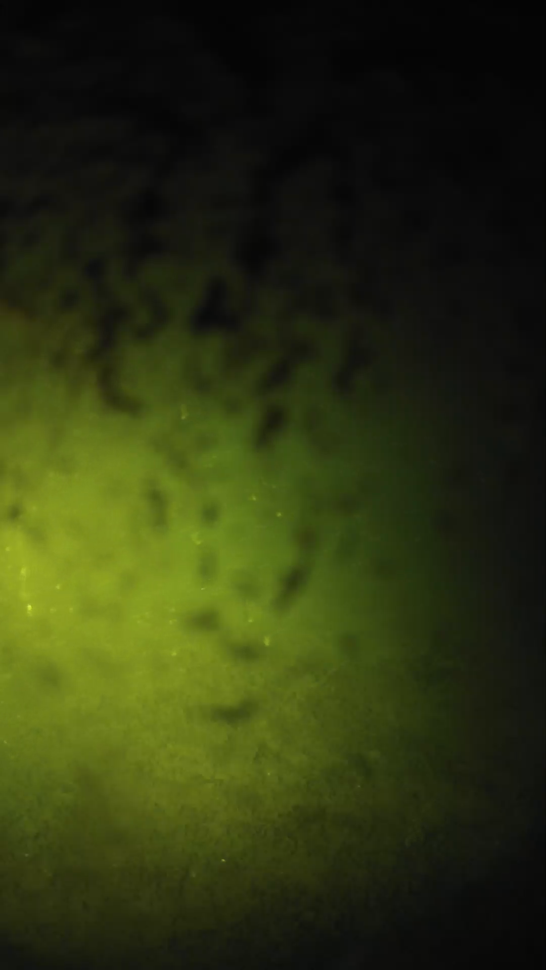 lander_ipcam_20240702013544.png
