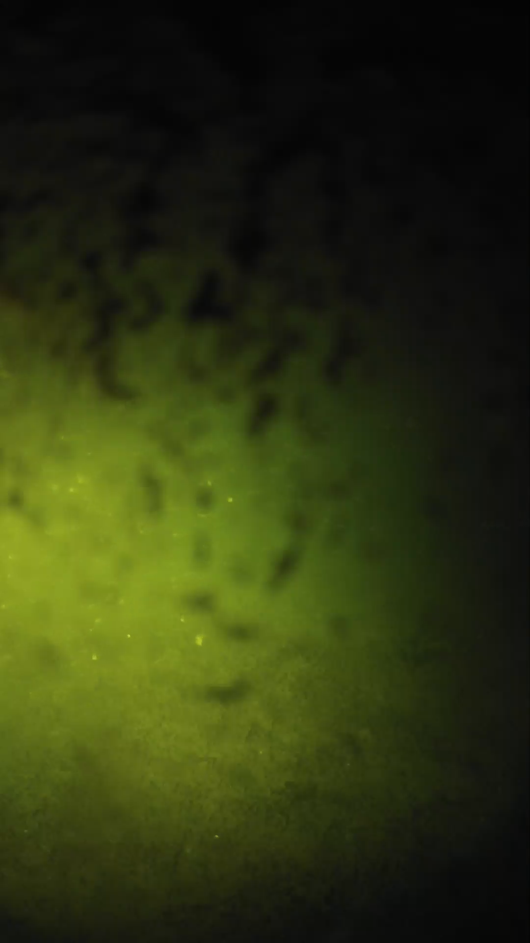 lander_ipcam_20240702013546.png