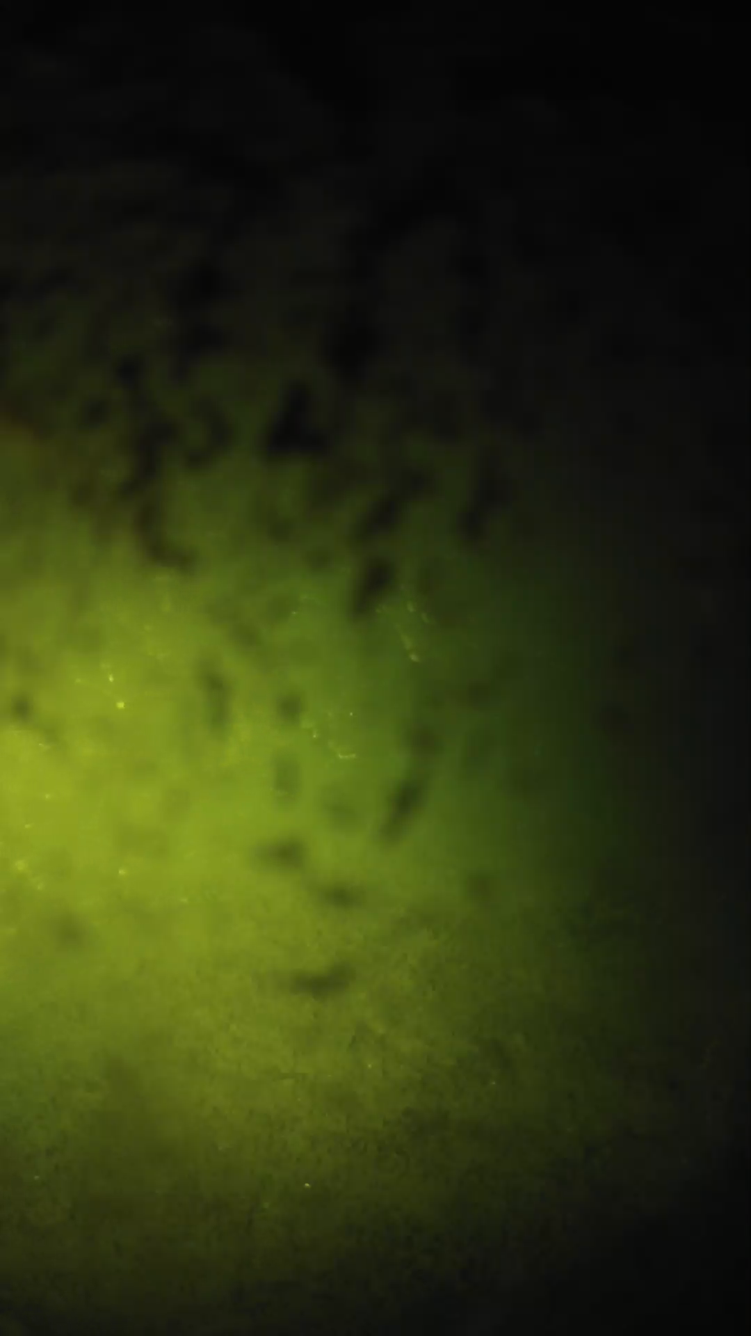 lander_ipcam_20240702013552.png