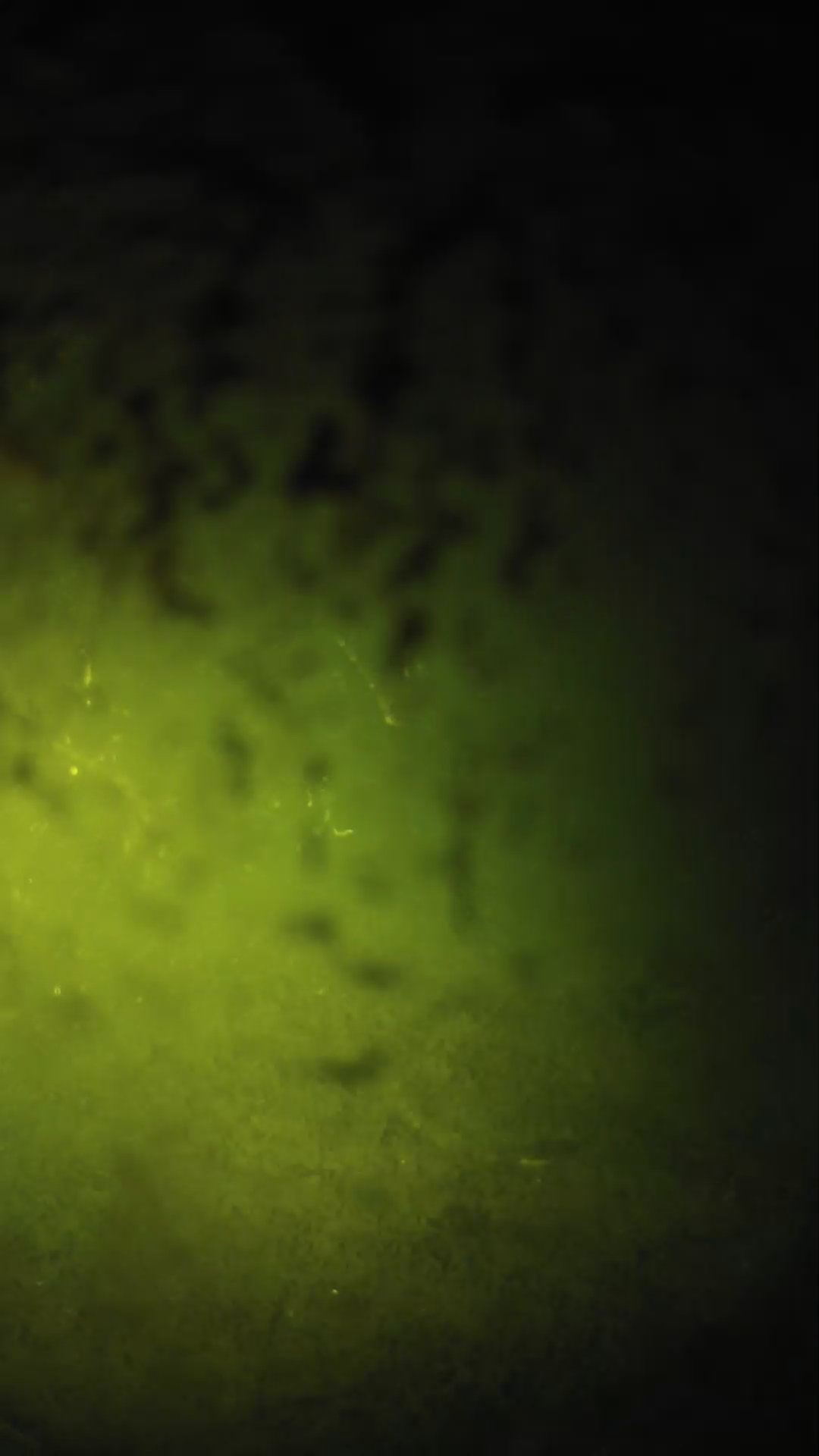 lander_ipcam_20240702013555.png