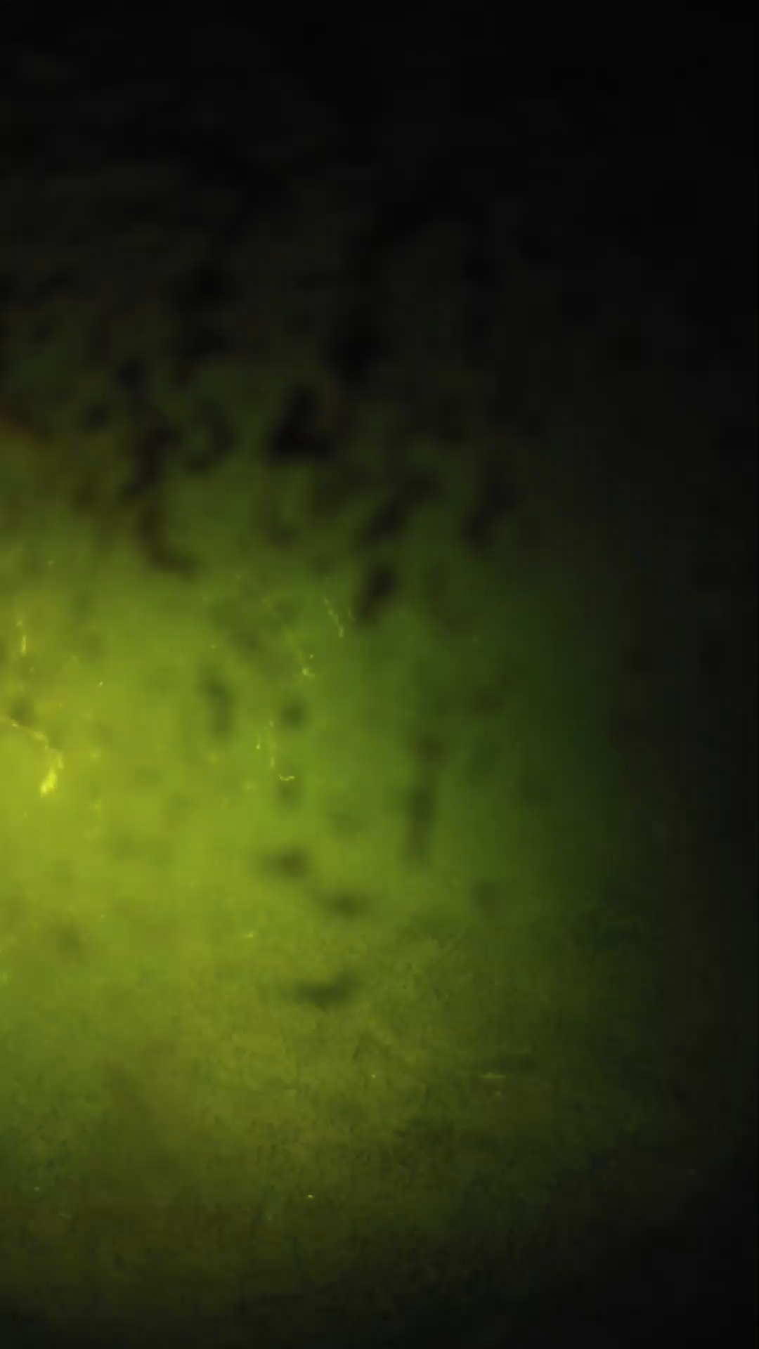lander_ipcam_20240702013559.png