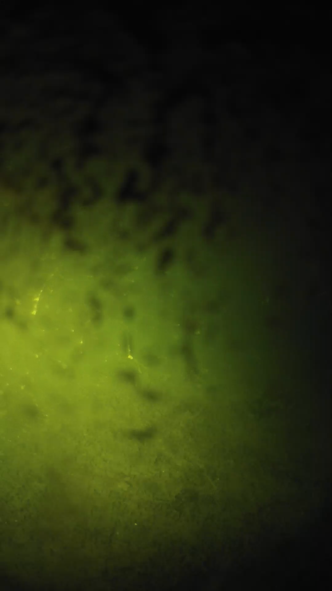 lander_ipcam_20240702020608.png