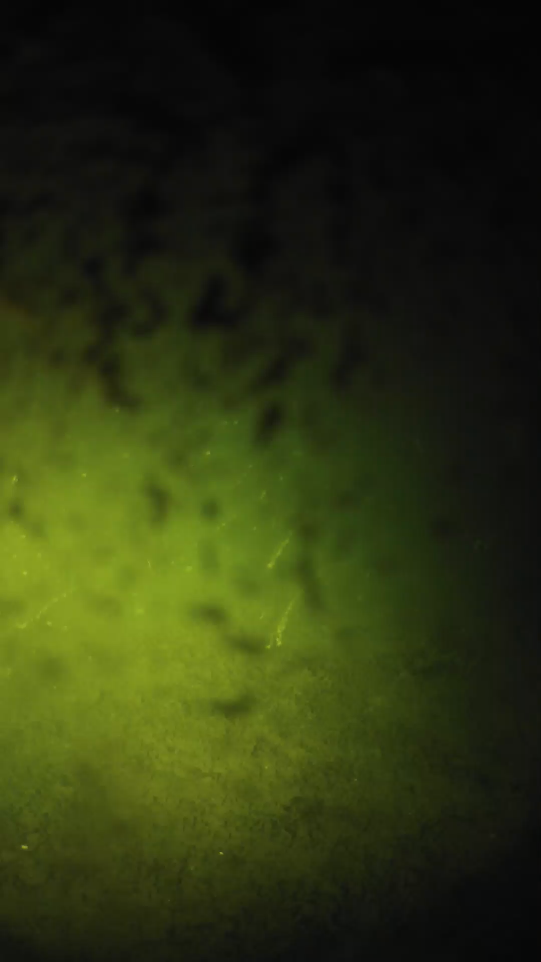 lander_ipcam_20240702023553.png