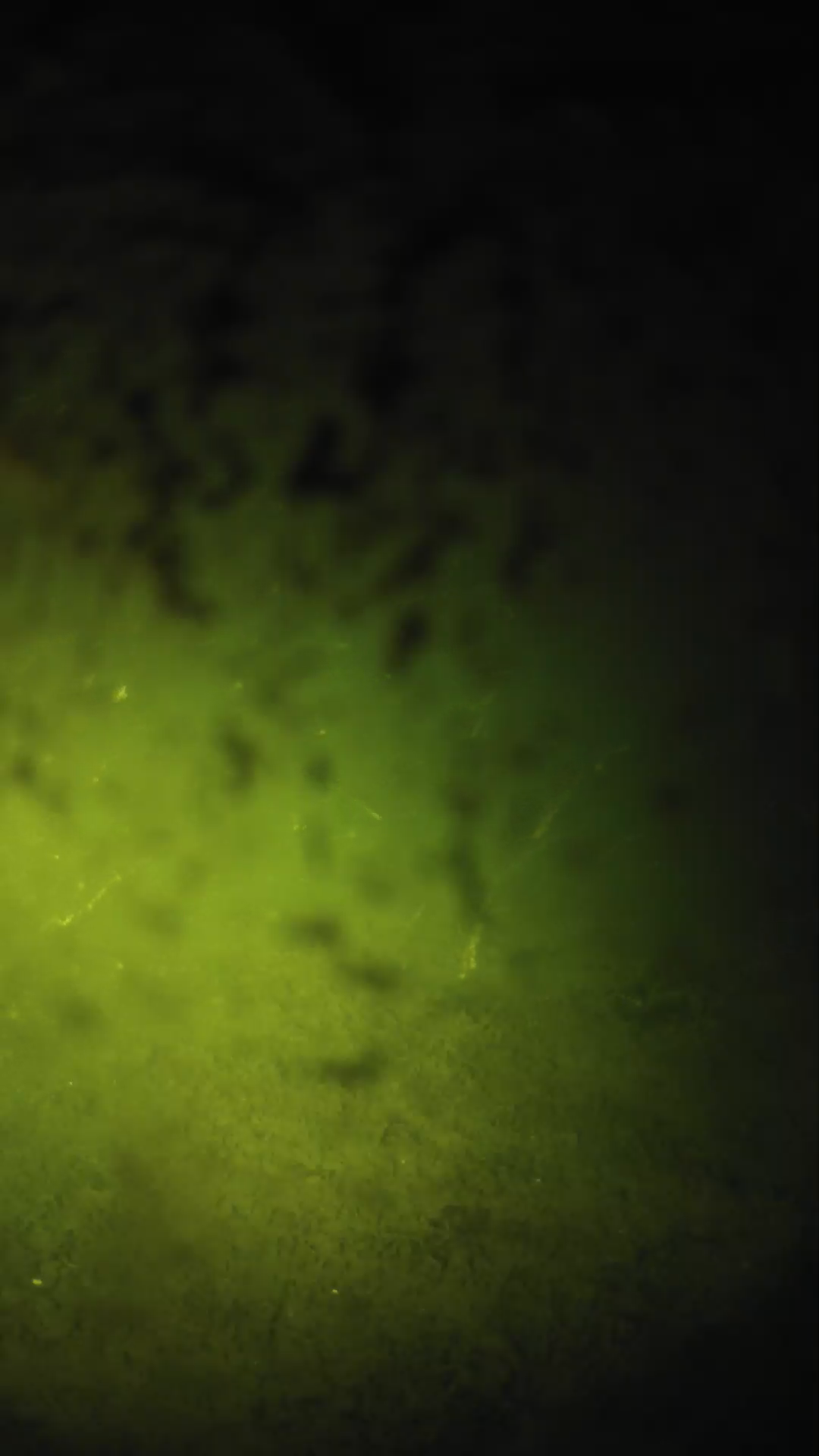 lander_ipcam_20240702023559.png